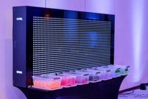 Epic Party Team event gallery image 42