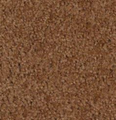 BROWN CARPET