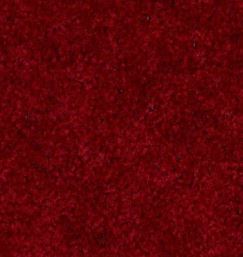 CRANBERRY CARPET