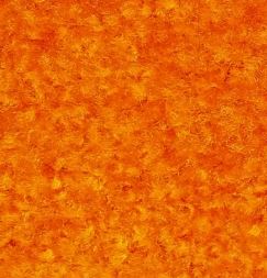 ORANGE CARPET