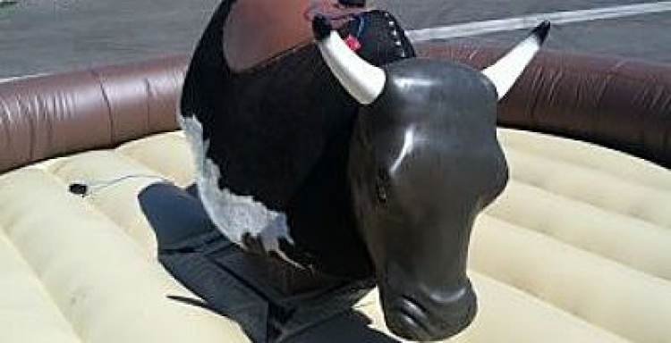 Mechanical Bull incl 1 staff (Round Ring) Mechanical Bull incl 1 staff (Round Ring)