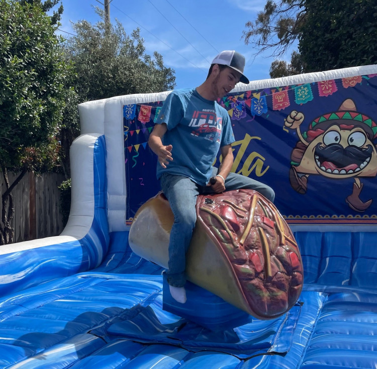 Mechanical Taco incl 1 staff mechanical bull shark