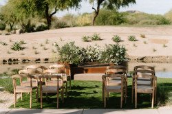 Dining Chair - Margo Ash Armchair
