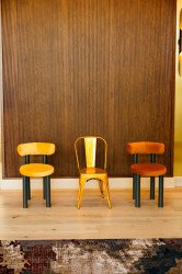 Dining Chair - Ava - Caramel Velvet