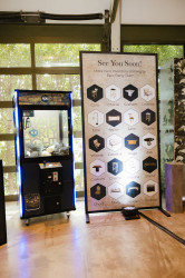 Crane Claw Machine - 36in x 76in tall