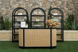 Chandler Barback - Black / Cane Shelves