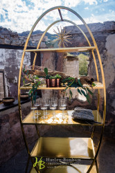 Ellipse Bar Back - Gold