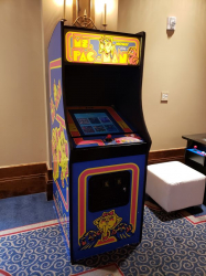 Ms Pacman Arcade Game