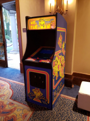 Ms Pacman Arcade Game